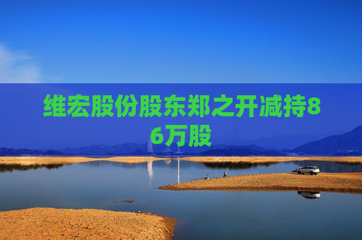 维宏股份股东郑之开减持86万股