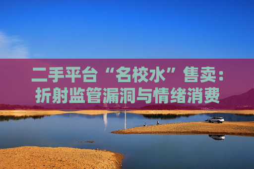二手平台“名校水”售卖：折射监管漏洞与情绪消费