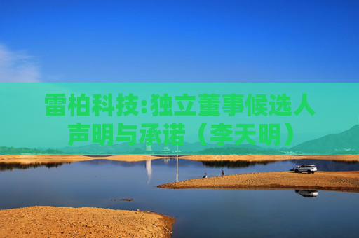 雷柏科技:独立董事候选人声明与承诺（李天明）