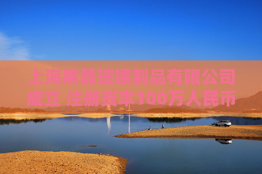 上海盾晶玻璃制品有限公司成立 注册资本100万人民币