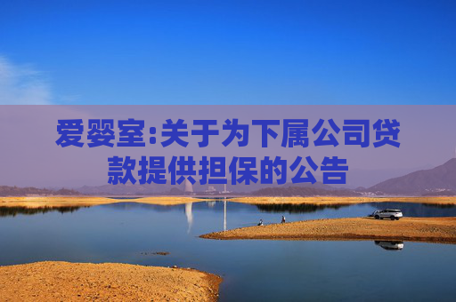 爱婴室:关于为下属公司贷款提供担保的公告