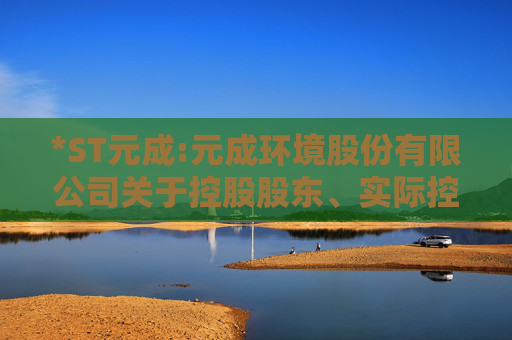 *ST元成:元成环境股份有限公司关于控股股东、实际控制人所持公司部分股份被司法拍卖的进展公告