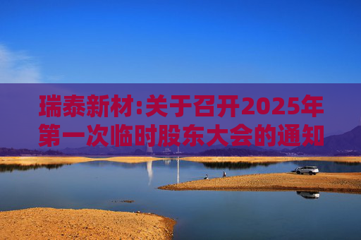 瑞泰新材:关于召开2025年第一次临时股东大会的通知