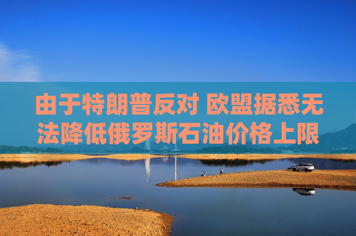 由于特朗普反对 欧盟据悉无法降低俄罗斯石油价格上限