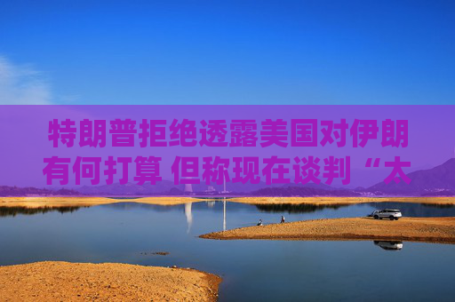 特朗普拒绝透露美国对伊朗有何打算 但称现在谈判“太晚了”