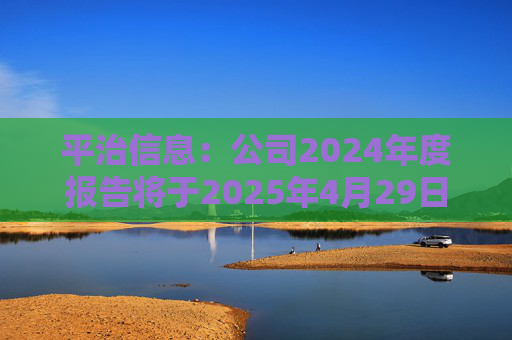 平治信息：公司2024年度报告将于2025年4月29日披露