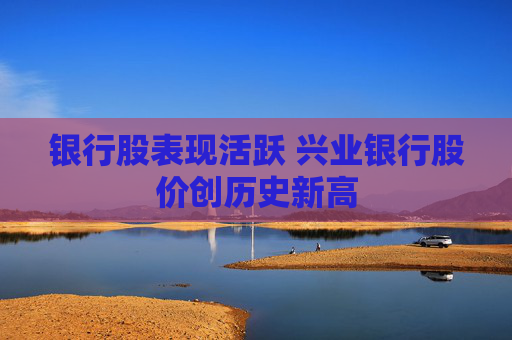 银行股表现活跃 兴业银行股价创历史新高