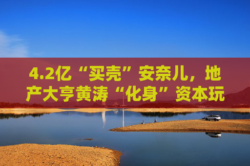 4.2亿“买壳”安奈儿，地产大亨黄涛“化身”资本玩家