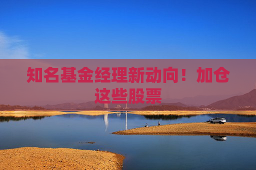 知名基金经理新动向！加仓这些股票