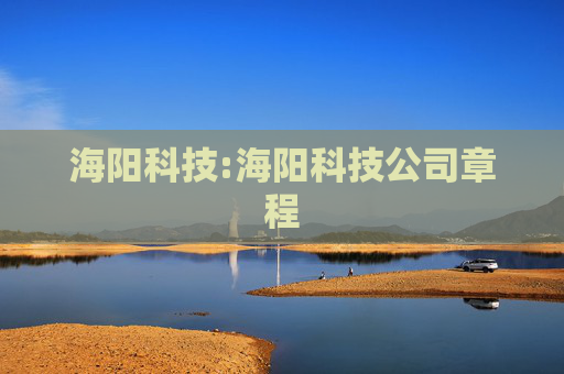 海阳科技:海阳科技公司章程