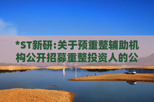 *ST新研:关于预重整辅助机构公开招募重整投资人的公告