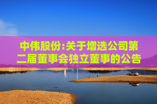 中伟股份:关于增选公司第二届董事会独立董事的公告