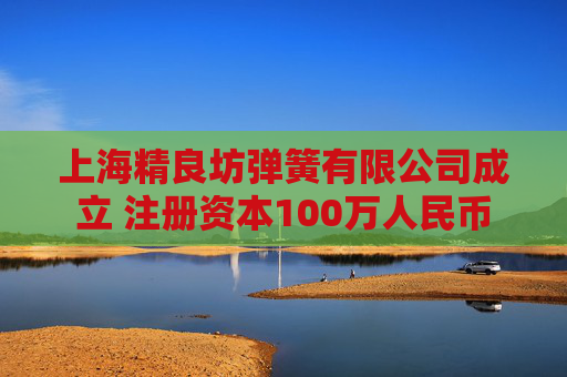 上海精良坊弹簧有限公司成立 注册资本100万人民币