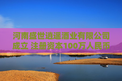 河南盛世逍遥酒业有限公司成立 注册资本100万人民币  第1张