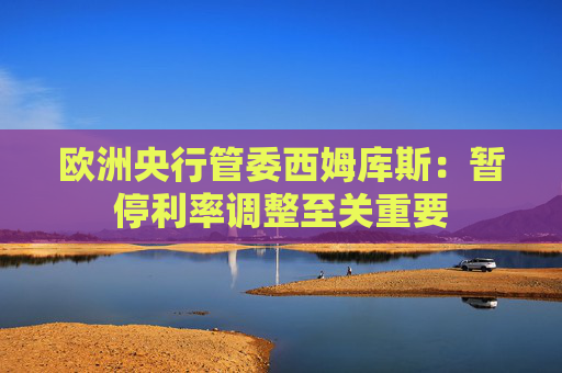 欧洲央行管委西姆库斯：暂停利率调整至关重要
