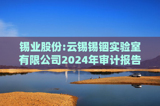 锡业股份:云锡锡铟实验室有限公司2024年审计报告