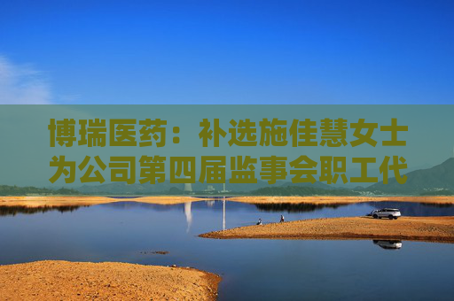 博瑞医药：补选施佳慧女士为公司第四届监事会职工代表监事