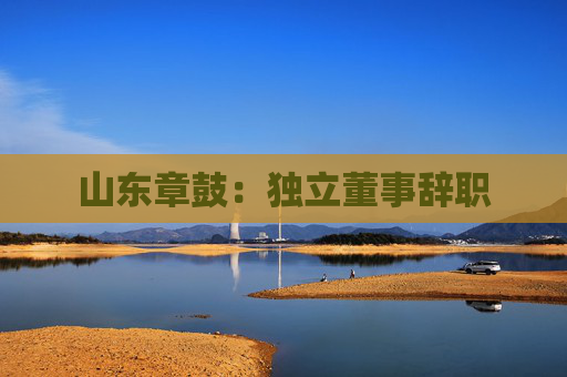 山东章鼓：独立董事辞职