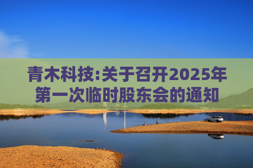 青木科技:关于召开2025年第一次临时股东会的通知