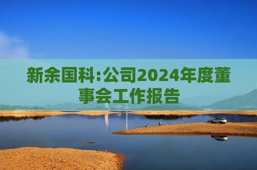 新余国科:公司2024年度董事会工作报告
