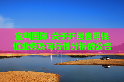 宝利国际:关于开展套期保值业务及可行性分析的公告