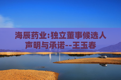 海辰药业:独立董事候选人声明与承诺--王玉春