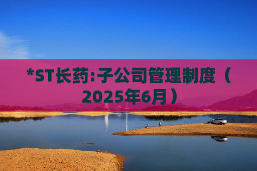 *ST长药:子公司管理制度（2025年6月）  第1张
