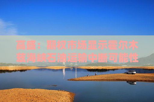 高盛：期权市场显示霍尔木兹海峡石油运输中断可能性很小