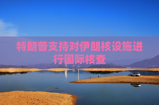 特朗普支持对伊朗核设施进行国际核查  第1张