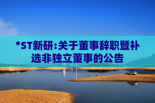 *ST新研:关于董事辞职暨补选非独立董事的公告