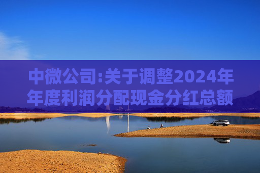 中微公司:关于调整2024年年度利润分配现金分红总额的公告