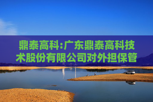鼎泰高科:广东鼎泰高科技术股份有限公司对外担保管理制度（2025年6月）  第1张