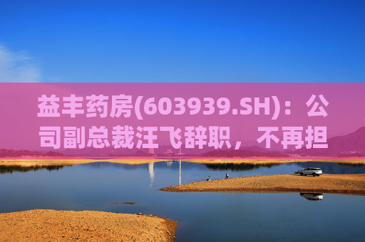 益丰药房(603939.SH)：公司副总裁汪飞辞职，不再担任公司其他职务