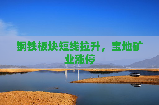 钢铁板块短线拉升，宝地矿业涨停