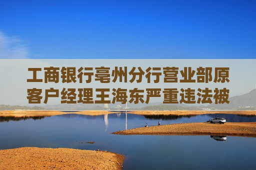 工商银行亳州分行营业部原客户经理王海东严重违法被开除公职