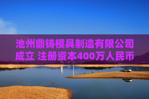 池州鼎铸模具制造有限公司成立 注册资本400万人民币