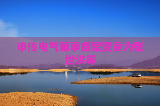 申传电气董事备案变更为张世洪等