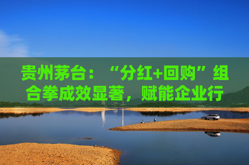 贵州茅台:“分红+回购”组合拳成效显著,赋能企业行稳致远 第1张 贵州茅台:“分红+回购”组合拳成效显著,赋能企业行稳致远 第1张