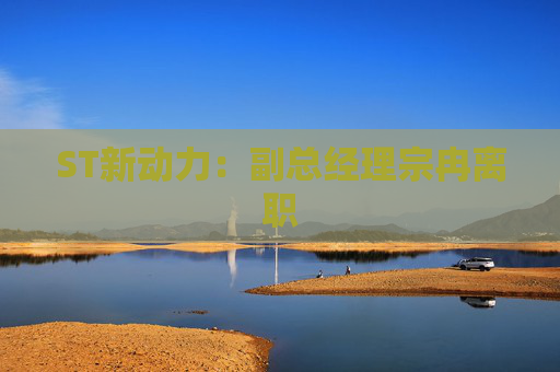 ST新动力：副总经理宗冉离职