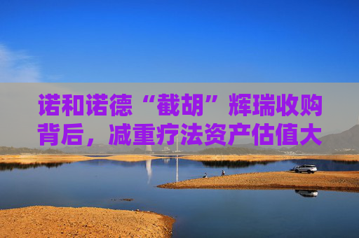 诺和诺德“截胡”辉瑞收购背后，减重疗法资产估值大爆发