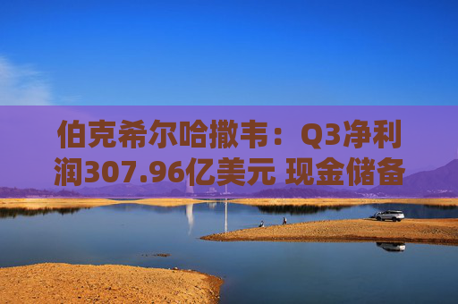 伯克希尔哈撒韦：Q3净利润307.96亿美元 现金储备达3816.7亿美元