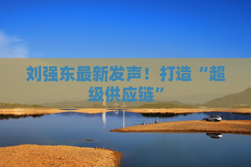 刘强东最新发声！打造“超级供应链”