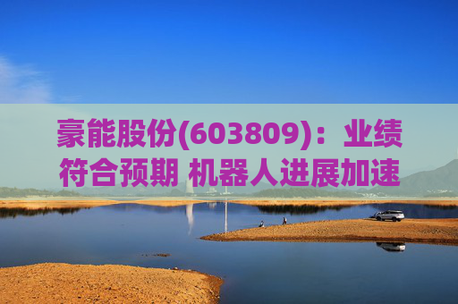 豪能股份(603809):业绩符合预期 机器人进展加速