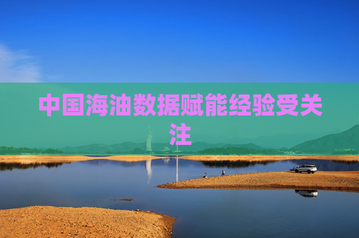 中国海油数据赋能经验受关注