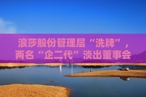 浪莎股份管理层“洗牌”，两名“企二代”淡出董事会  第1张