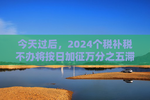 今天过后，2024个税补税不办将按日加征万分之五滞纳金