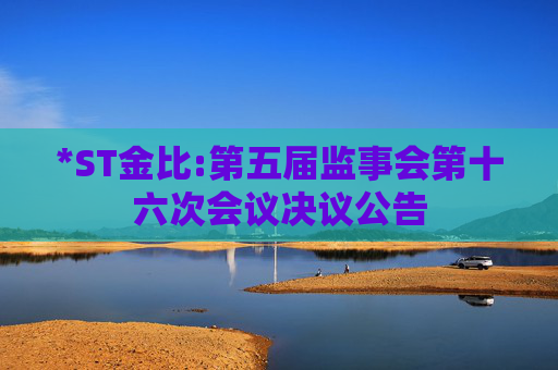 *ST金比:第五届监事会第十六次会议决议公告