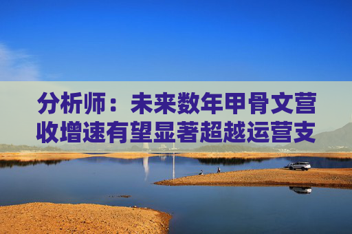 分析师：未来数年甲骨文营收增速有望显著超越运营支出