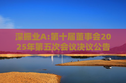 深振业A:第十届董事会2025年第五次会议决议公告  第1张