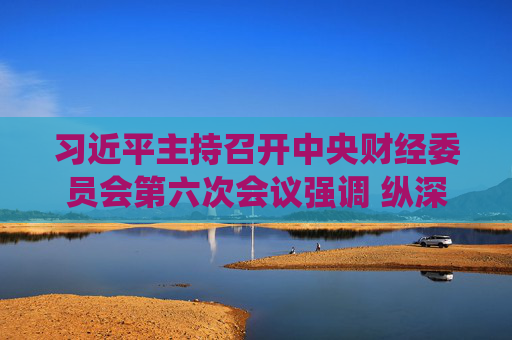 习近平主持召开中央财经委员会第六次会议强调 纵深推进全国统一大市场建设 推动海洋经济高质量发展 李强蔡奇丁薛祥出席